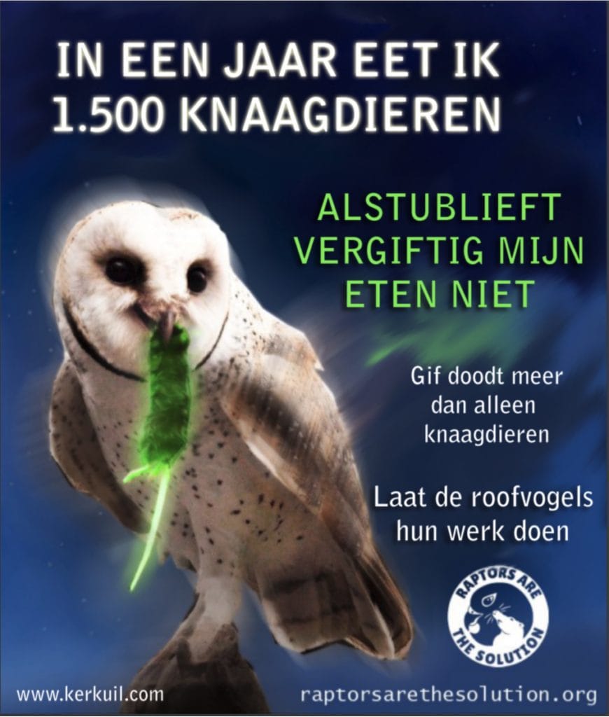 Uil die vergiftigde muis eet